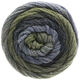 Lana Grossa SUPER COLOR | 115-light jeans/dark jeans/reseda green/dark gray