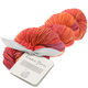 Lana Grossa UNICO (Linea Pura) | 10-bordeaux/copper red/dark orange
