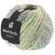 Lana Grossa VANITY (ABOUT BERLIN) | 05-green/jeans/pastel rose/natural multicolored