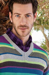 Lana Grossa MEN'S STRIPED V-NECK SWEATER Elastico