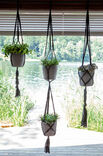 Lana Grossa PLANT HANGERS Mille II