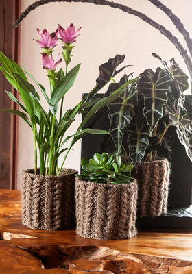 PLANTER COVER Feltro from Lana Grossa