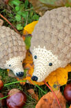 Lana Grossa HEDGEHOG Baby Soft & Star