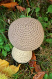 Lana Grossa MUSHROOM Star