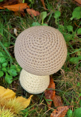 MUSHROOM Star from Lana Grossa