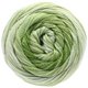 Lana Grossa ALLEGRO Dégradé | 207-natural/subtle green/light green/leaf green/olive green