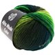 Lana Grossa ALTA MODA COLOR | 08-reed/gray green/light green