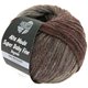 Lana Grossa ALTA MODA SUPER BABY FINE Degradè | 104-gray beige/chestnut/gray red