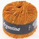 Lana Grossa ARGENTINA | 07-orange/light green/silver