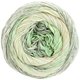 Lana Grossa ARUBA (Linea Pura) | 07-subtle green/gray green/ecru