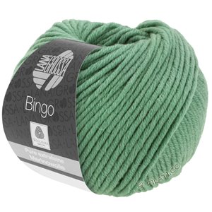 Lana Grossa BINGO  Uni/Melange | 196-gray green
