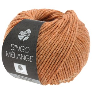 Lana Grossa BINGO  Uni/Melange | 253-caramel mottled