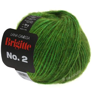 Lana Grossa BRIGITTE NO. 2 | 01-green