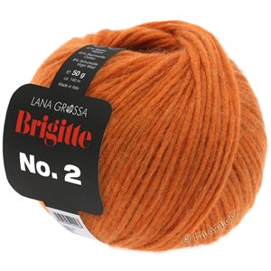 Lana Grossa BRIGITTE NO. 2 | 32-cinnamon orange