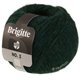 Lana Grossa BRIGITTE NO. 2 | 73-black green