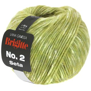 Lana Grossa BRIGITTE NO. 2 Seta | 05-light green mottled