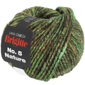 Lana Grossa BRIGITTE NO. 5 Nature | 103-green/brown mottled