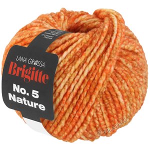 Lana Grossa BRIGITTE NO. 5 Nature | 105-orange/caramel mottled