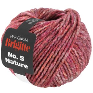 Lana Grossa BRIGITTE NO. 5 Nature | 106-pink/gray brown mottled