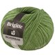 Lana Grossa BRIGITTE Silkdream | 19-green