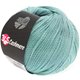 Lana Grossa 365 CASHMERE | 21-ice blue