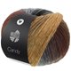 Lana Grossa CANDY | 10-light gray/gray/dark gray/black/dark brown/gray brown/camel/steel blue/red brown/rosewood/wool white