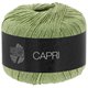 Lana Grossa CAPRI | 43-linden green