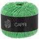 Lana Grossa CAPRI | 44-apple green