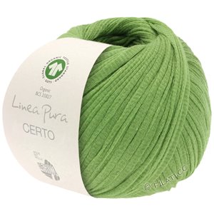 Lana Grossa CERTO (Linea Pura) | 17-pea green