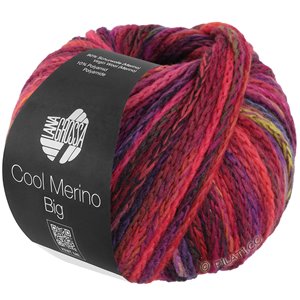 Lana Grossa COOL MERINO Big Color | 401-black red/purple/pink/fuchsia/red/yellow green