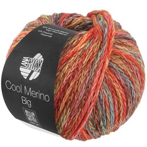 Lana Grossa COOL MERINO Big Color | 402-gray green/red/yellow/mint/brown/tulipwood