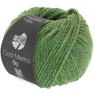 Lana Grossa COOL MERINO Big | 204-green