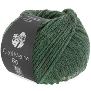Lana Grossa COOL MERINO Big | 205-moss green