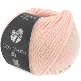 Bernat Deken zilver staal garen - 2 Pack van 300g/10.5oz - Polyester - 6 Super volumineus - 220 yards - Breien/haken Bernat Deken zilver staal garen - 2 Pack van 300g/10.5oz - Polyester - 6 Super volumineus - 220 yards - Breien/haken