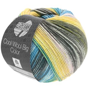 Lana Grossa COOL WOOL Big Color | 4024-petrol green/gray green/ecru/yellow/turquoise/rose