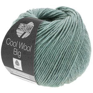 Lana Grossa COOL WOOL Big  Uni/Melange | 7332-gray green mottled