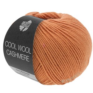 Lana Grossa COOL WOOL Cashmere | 45-cinnamon brown