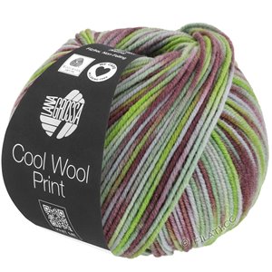 Lana Grossa COOL WOOL  Print | 828-light green/reseda green/antique violet/light gray