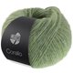 Lana Grossa CORALLO 50g | 109-Sage green