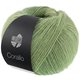Lana Grossa CORALLO 100G | 09-gray green/Sage green/reseda green