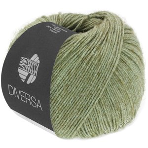 Lana Grossa DIVERSA | 10-gray green
