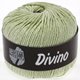 Lana Grossa DIVINO uni (finishing colors) | 16-subtle green