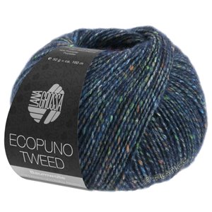 Lana Grossa ECOPUNO Tweed | 301-dark blue mottled
