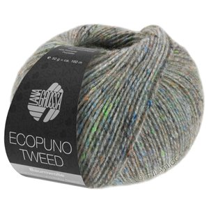 Lana Grossa ECOPUNO Tweed | 303-green gray mottled