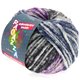 Lana Grossa EVERYBODY Print (Ragazza) | 301-blue/white/gray/purple