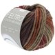 Lana Grossa FELTRO Color Melange | 1019-wine red/taupe/dark brown/gray brown
