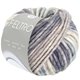 Lana Grossa FELTRO Rigato | 625-cream/gray blue/light gray/dark gray