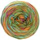 Lana Grossa GOMITOLO DENIM GRAFFITI | 352-green/orange/fuchsia/turquoise/olive