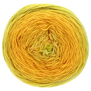 Lana Grossa GOMITOLO FINITO | 566-mustard/yolk yellow/broom yellow/daffodil yellow/clementine/pistachio