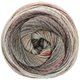 Lana Grossa GOMITOLO MAYA | 861-dark gray/gray brown/wine red/light gray/taupe/camel/rose beige/rosewood